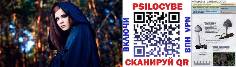 Псилоцибиновые грибы мицелий  как найти наркотики  Дивногорск 