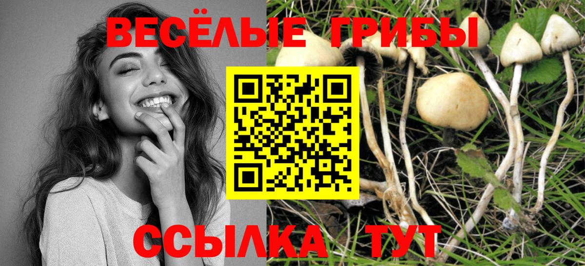 Галлюциногенные грибы мицелий Дивногорск